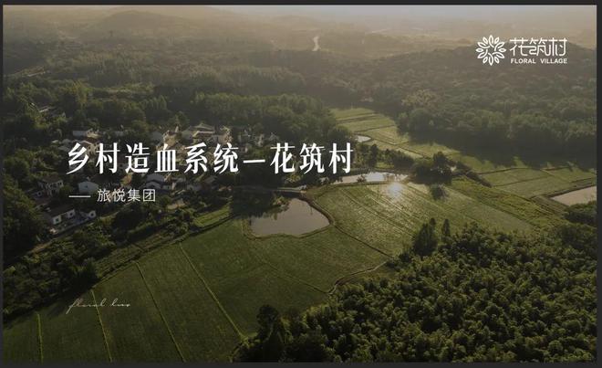 DTA投报案例公示 2025年旅游行业发生了哪些“新鲜事”？(图33)