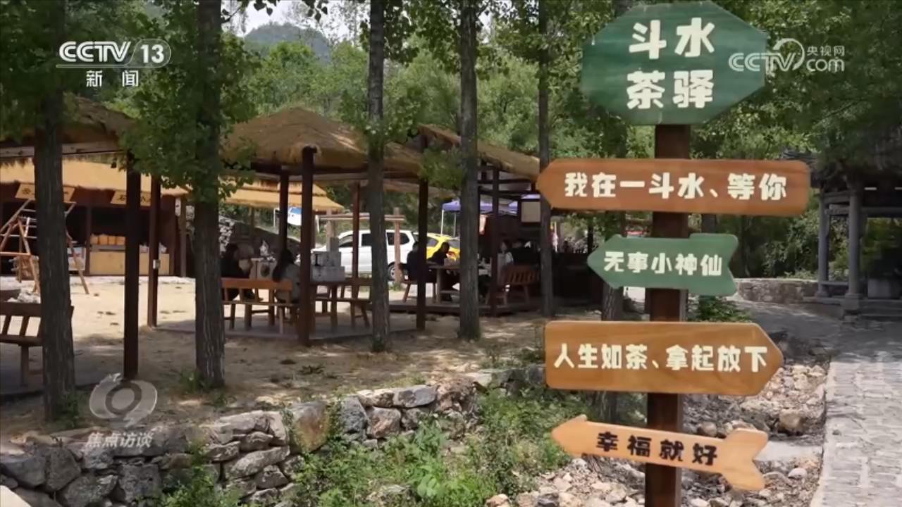 焦点访谈｜激活乡村振兴的“一池春水” 焦作交出“景美、业兴、民富”新答卷(图7)