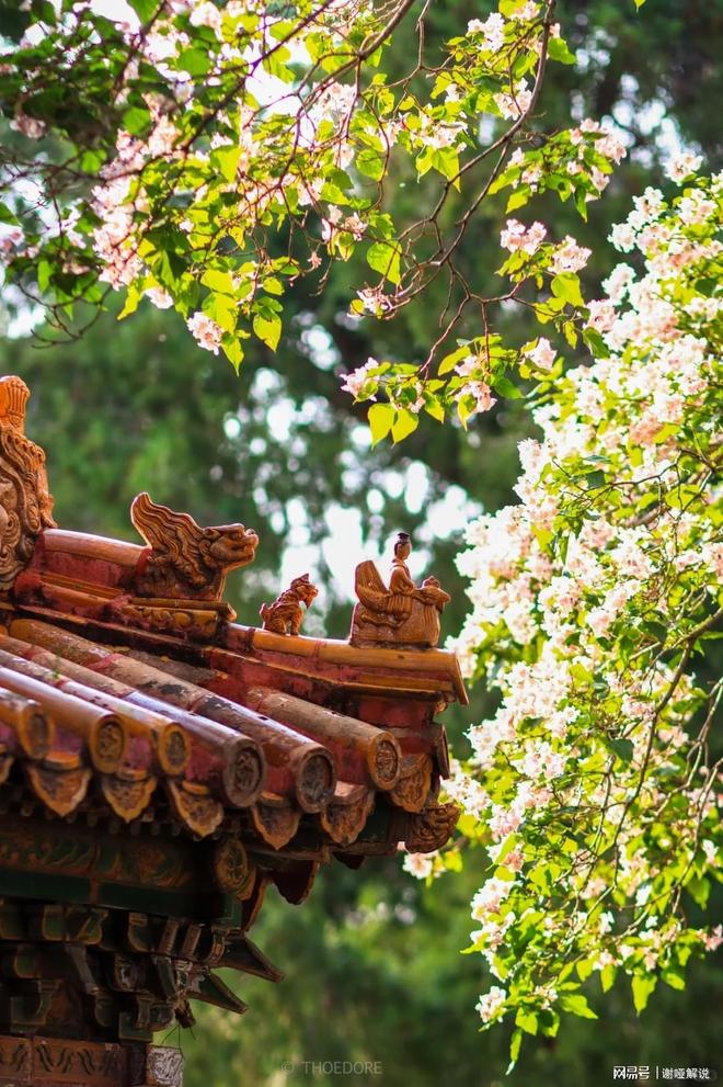 北京旅游出行攻略 北京排名前三旅行社让你旅行体验直接起飞(图2)