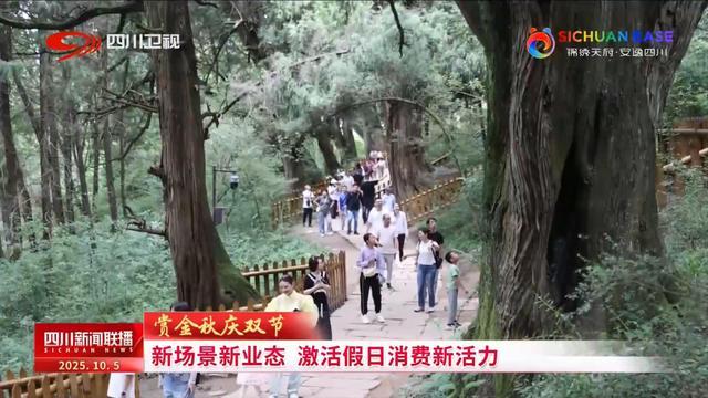 新场景新业态 激活假日消费新活力(图5)