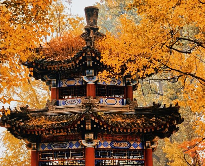 北京靠谱旅行社怎么挑？ 口碑TOP10旅行社测评解锁优质旅游体验(图3)