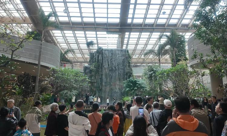 三天圈粉十万游客济南文旅“新顶流”诞生_今日头条_大众网(图6)