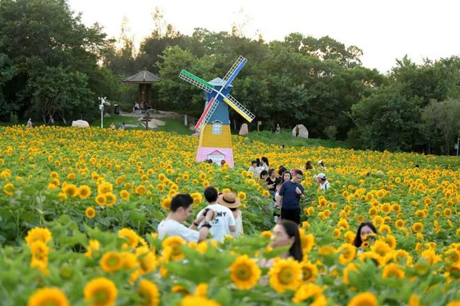 厦门翔安：三大赛事点燃全域狂欢文旅经济与民生欢乐双赢(图3)