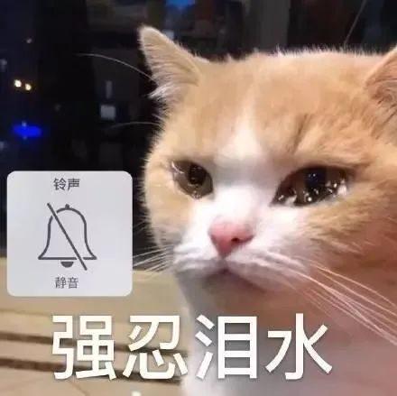 和平精英玩得挺大(图2)