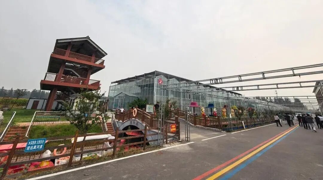枣庄市薛城区农文旅“融”出新风景
